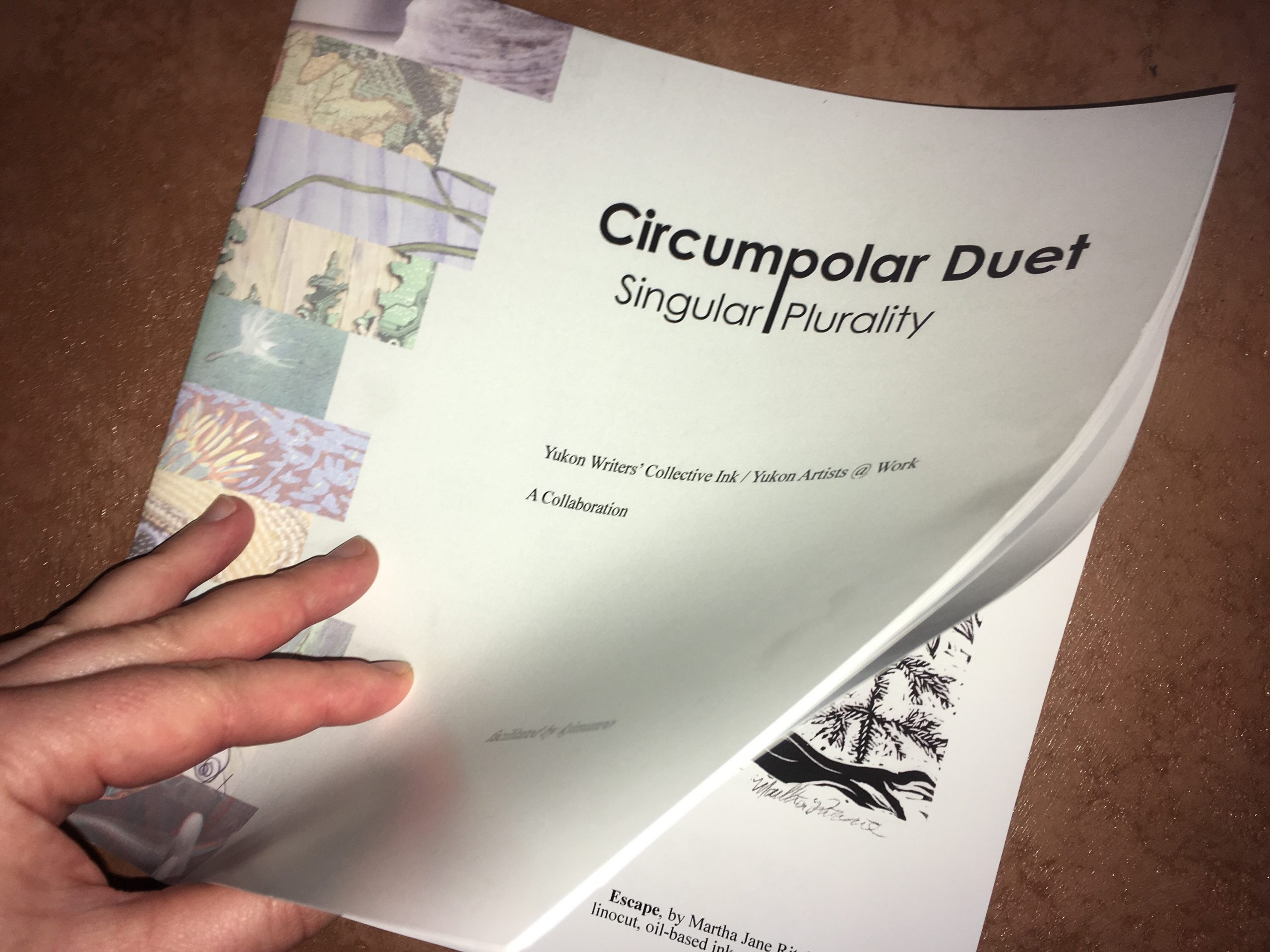 Circumpolar Duet | Singular Plurality